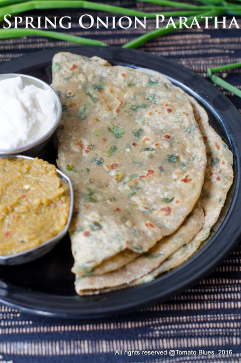 spring onion paratha