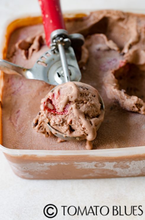 homemade chocolate ice cream