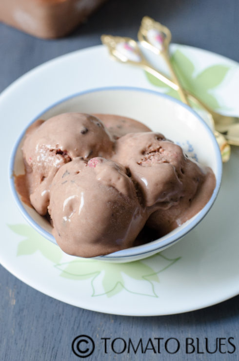 homemade chocolate ice cream