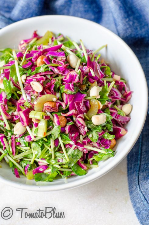 Oriental style cabbage and pea sprout salad