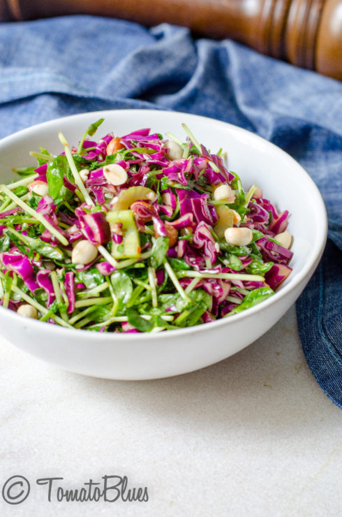 Oriental style cabbage and pea sprout salad