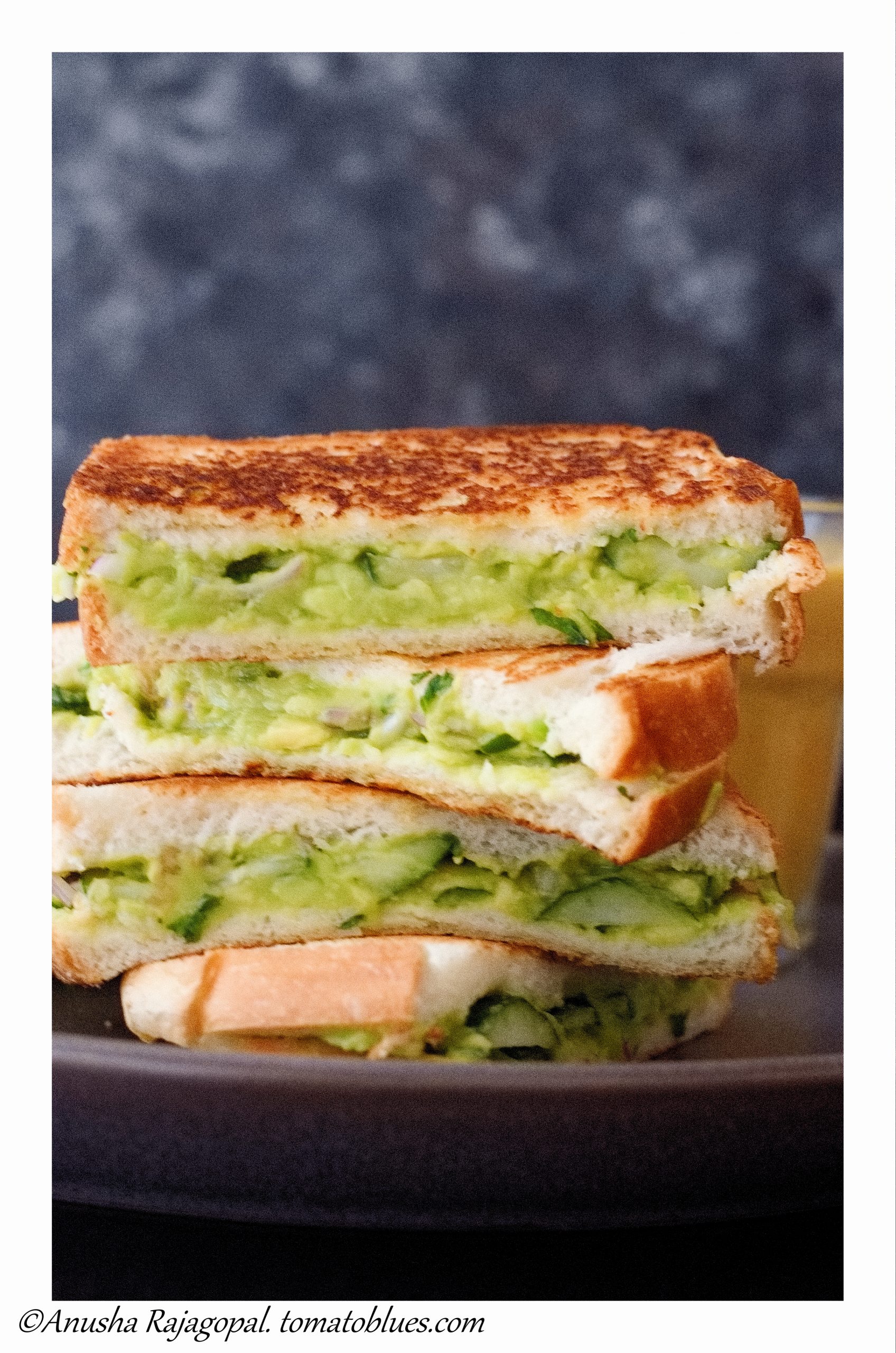 Guacamole sandwich